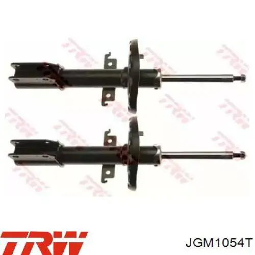 Amortiguadores TRW JGM1054T precio, desde 67,59 EUR