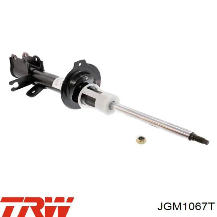 Amortiguador trasero derecho TRW JGM1067T precio, desde 53,51 EUR
