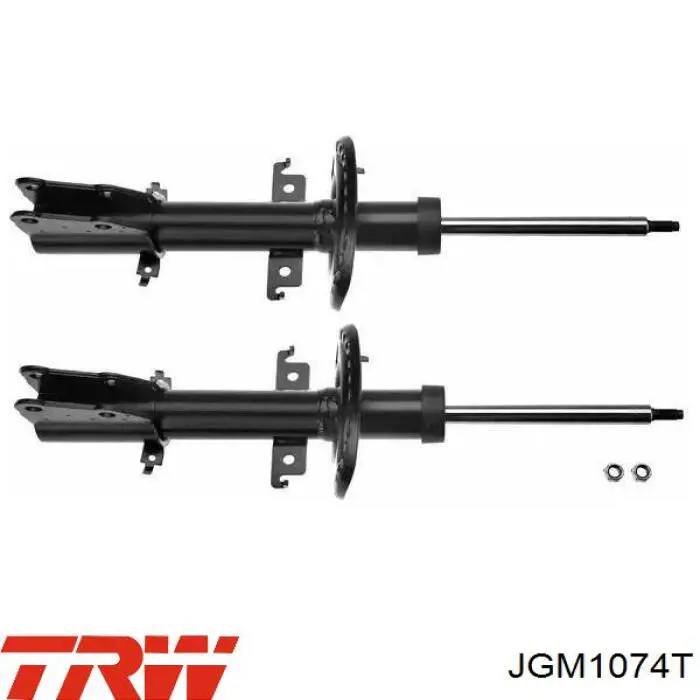Amortiguadores TRW JGM1074T precio, desde 39,05 EUR