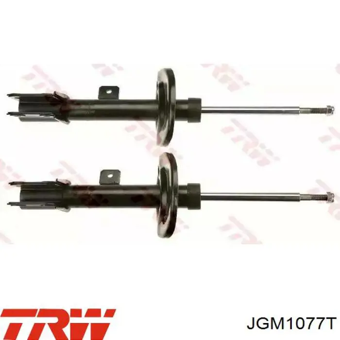 Amortiguadores TRW JGM1077T precio, desde 50,31 EUR