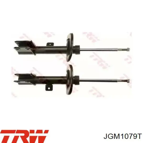 Comprar JGM1079T TRW Amortiguador