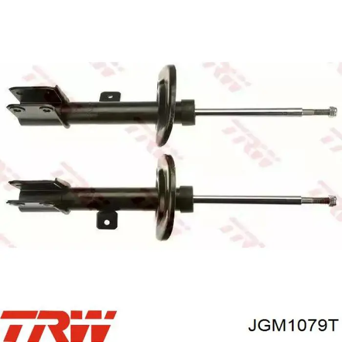 Amortiguadores TRW JGM1079T precio, desde 51,56 EUR