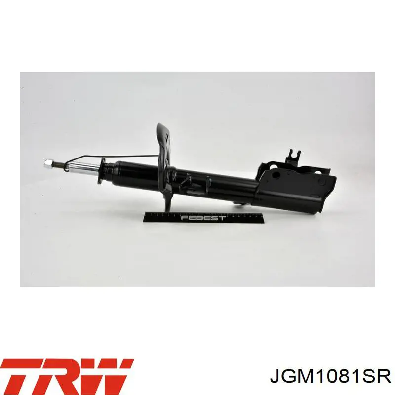 Amortiguador delantero derecho JGM1081SR TRW