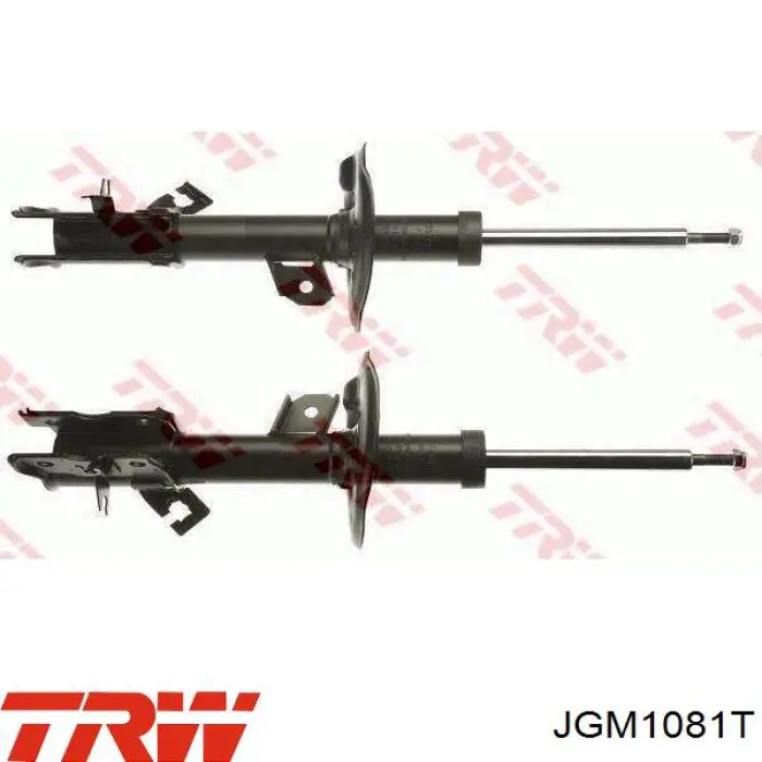 Amortiguadores TRW JGM1081T precio, desde 99,24 EUR