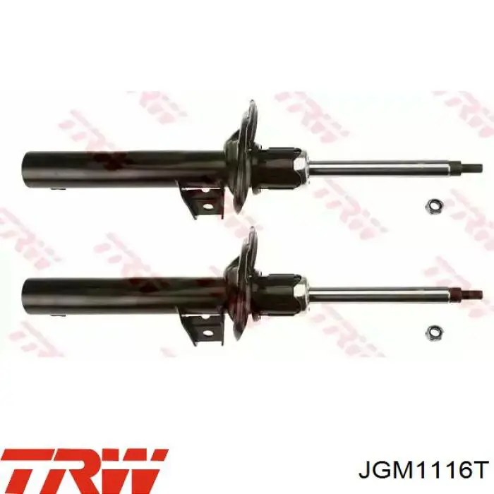 Amortiguador RS315910 Raiso