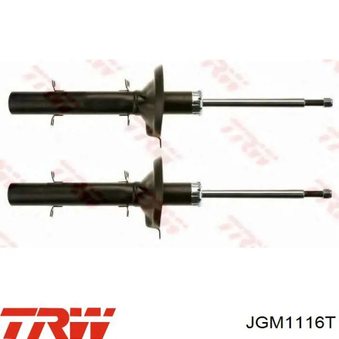 RS315910 Raiso Amortiguador frontal
