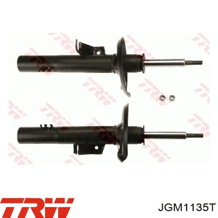 Amortiguador eje delantero izquierda BMW 31313451393