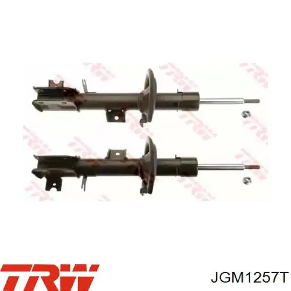 Amortiguadores TRW JGM1257T precio, desde 78,51 EUR
