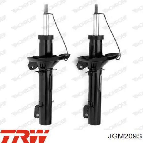 Amortiguadores TRW JGM209S precio, desde 59,68 EUR
