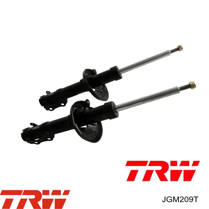 Amortiguadores TRW JGM209T precio, desde 39,08 EUR