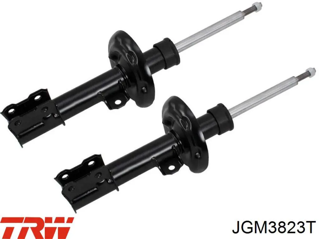 Comprar JGM3823T TRW Amortiguador delantero derecho
