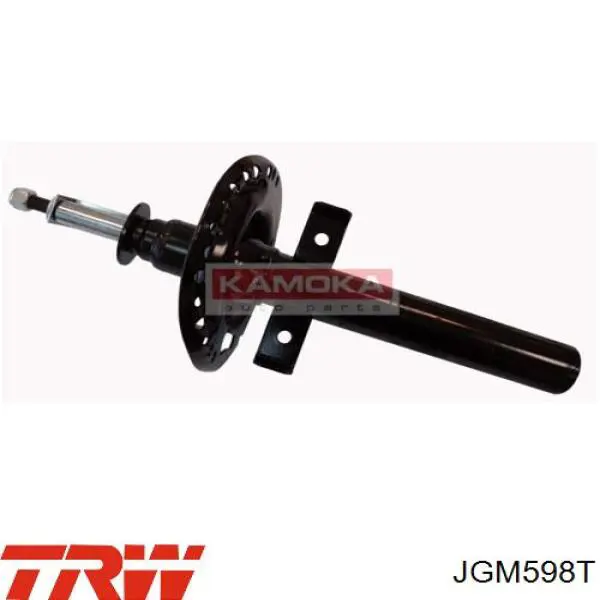 Amortiguadores TRW JGM598T precio, desde 49,13 EUR