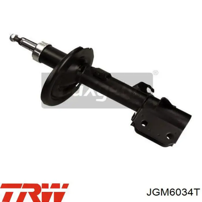 Amortiguador eje delantero izquierda TRW JGM6034T