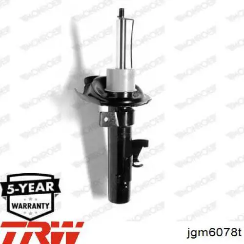 Amortiguador delantero Ford Focus 2 DA, HCP, DP