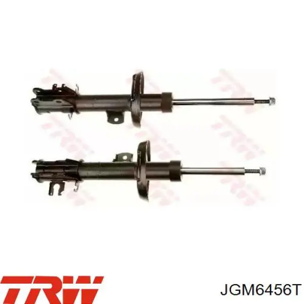 Amortiguador delantero derecho TRW JGM6456T precio, desde 53,08 EUR