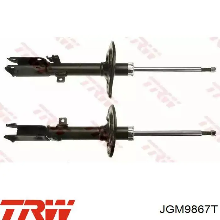 Comprar JGM9867T TRW Amortiguador trasero izquierdo