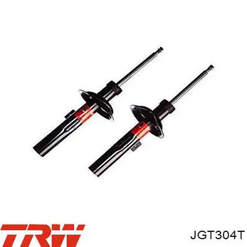 Amortiguadores traseros TRW JGT304T