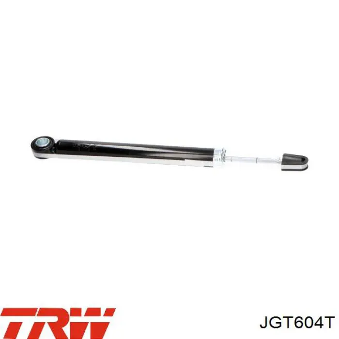 JGT604T TRW Amortiguadores posteriores