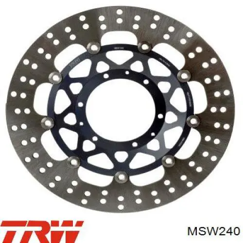 Frenos delanteros TRW MSW240 precio, desde 194,22 EUR