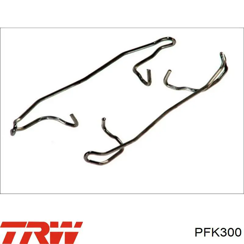 Resorte de retención de la pinza de freno TRW PFK300 precio, desde 4,79 EUR