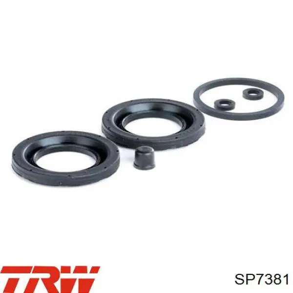 SP7381 TRW Kit de reparación de pinzas