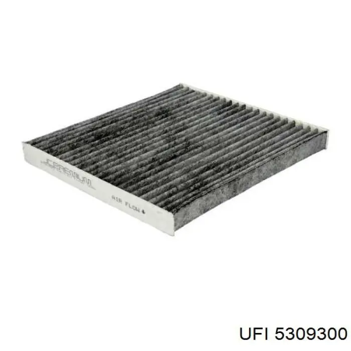 424I0033 Ridex Filtro antipolen