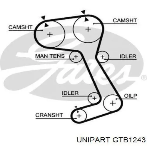 gtb1243 Unipart correa distribucion