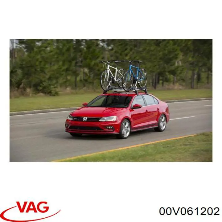  VAG 00V061202 precio, desde 195,01 EUR