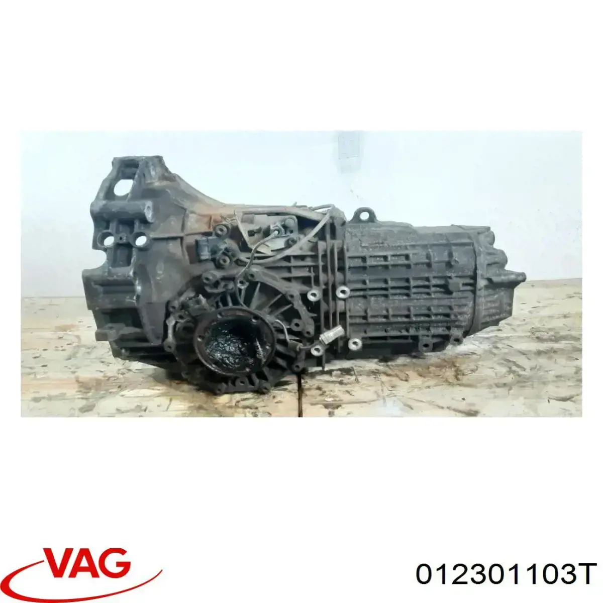 012301103T VAG