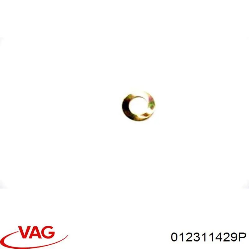 012311429P VAG