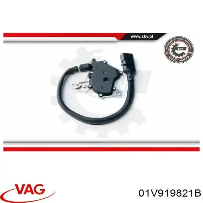 Sensor de posiciones de la transmisión automática VAG 501317994