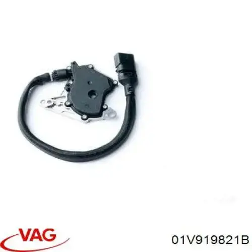 01V919821B VAG interruptor de caja de cambios automática