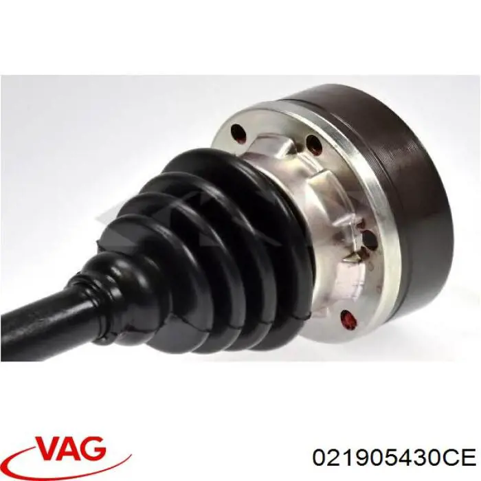 021905430CE VAG 