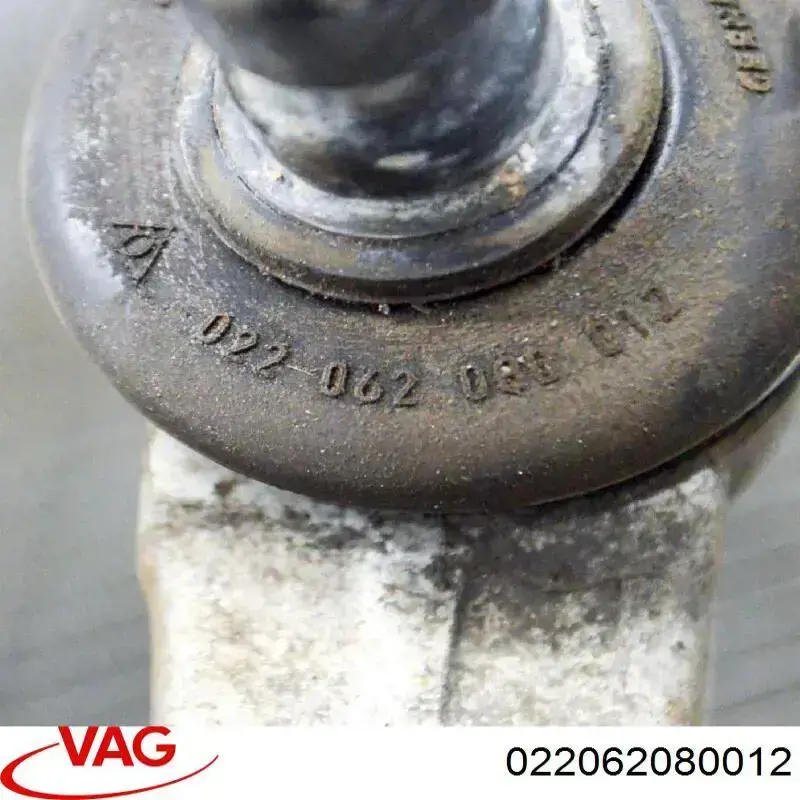  022062080012 VAG