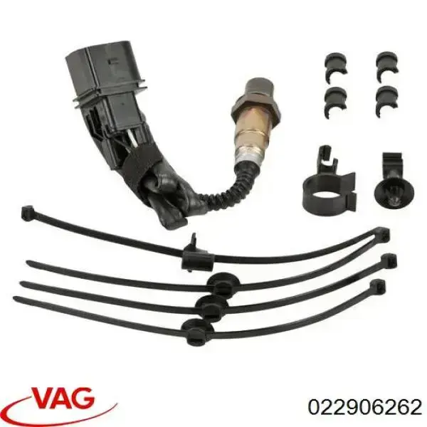 022906262 VAG 