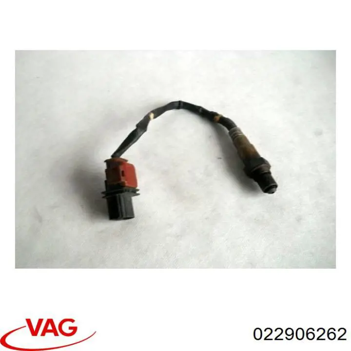  VAG 022906262 precio, desde 75,50 EUR