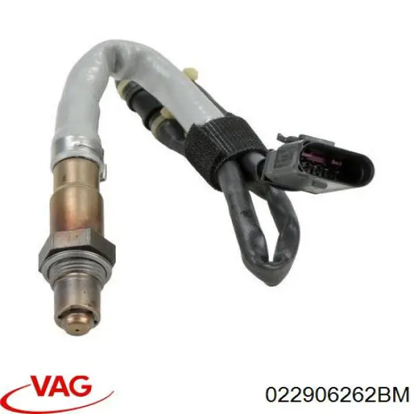 022906262BM VAG sonda lambda, sensor de oxígeno despues del catalizador derecho