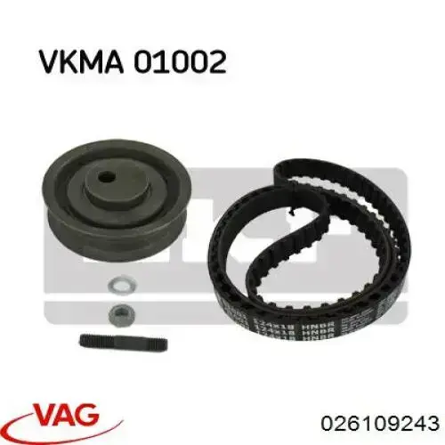 Tensor de la correa de distribución VAG 026109243 precio, desde 17,50 EUR