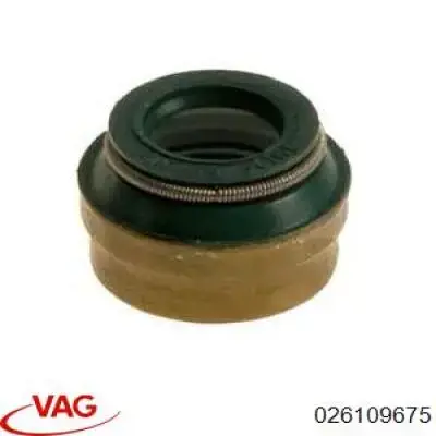 026109675 VAG sello de aceite de valvula (rascador de aceite Entrada/Salida)