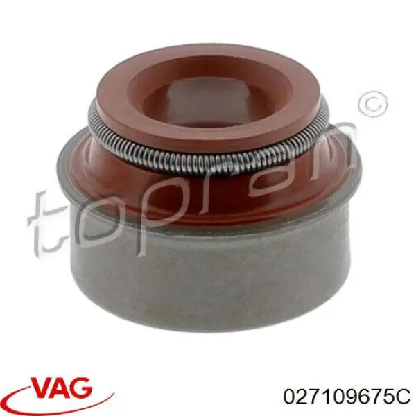 55188053 Fiat/Alfa/Lancia Empaquetadura De Aceite De Valvula