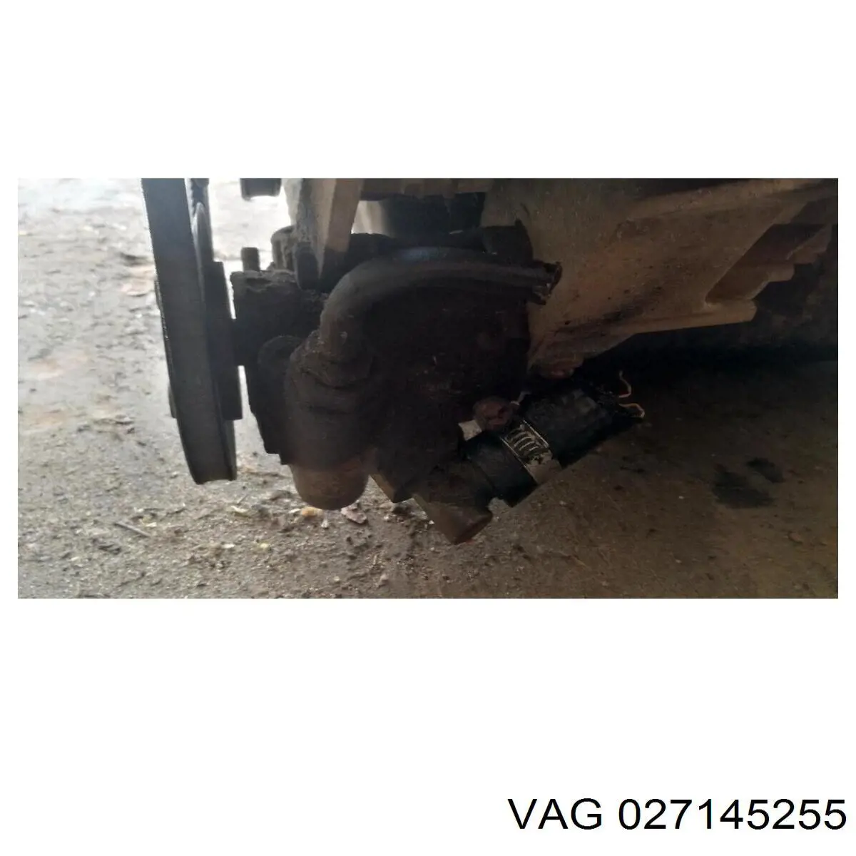 Polea de la bomba de dirección asistida VAG 027145255 precio, desde 7,04 EUR