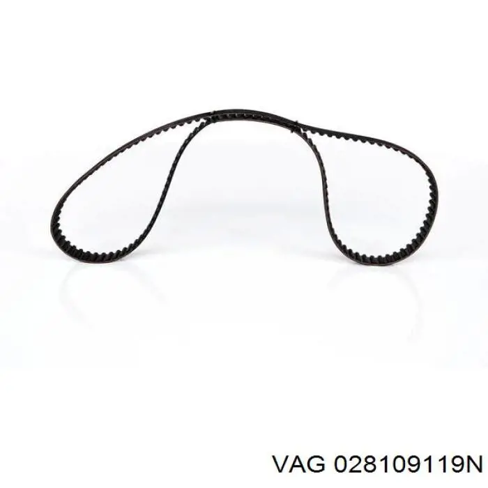 028109119N VAG