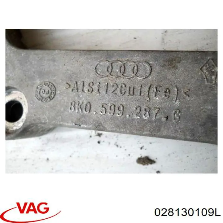 028130109L VAG Bomba de inyección