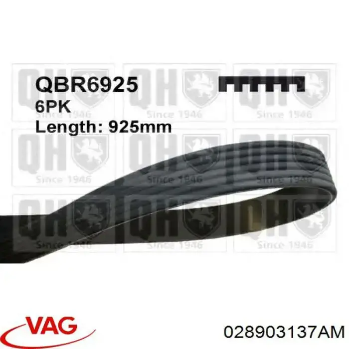 Correa de transmisión trapezoidal VAG 028903137AM precio, desde 11,17 EUR