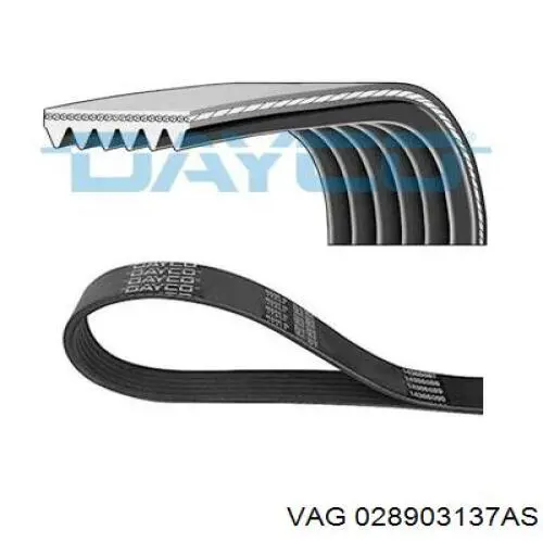 Comprar 028903137AS VAG Correa trapezoidal