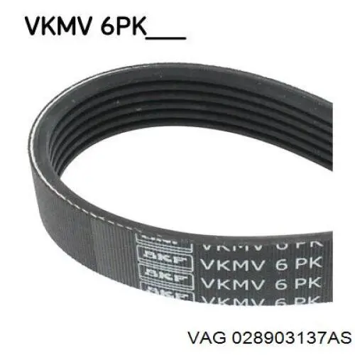 Correa de transmisión trapezoidal VAG 028903137AS precio, desde 8,81 EUR