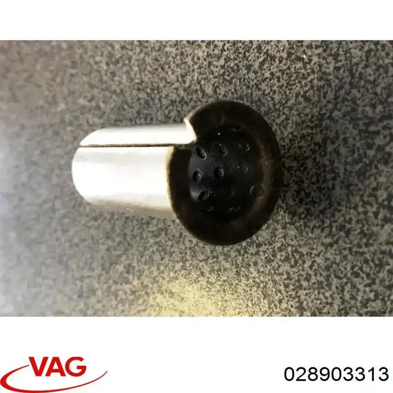 028903313 VAG
