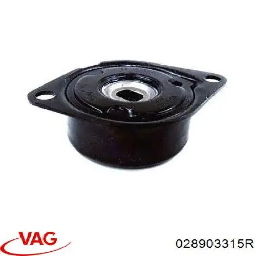 Tensor de la correa trapecial VAG 028903315R precio, desde 37,53 EUR