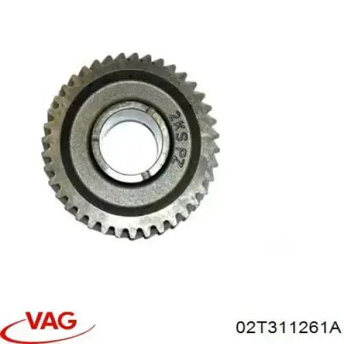 02T311261A VAG