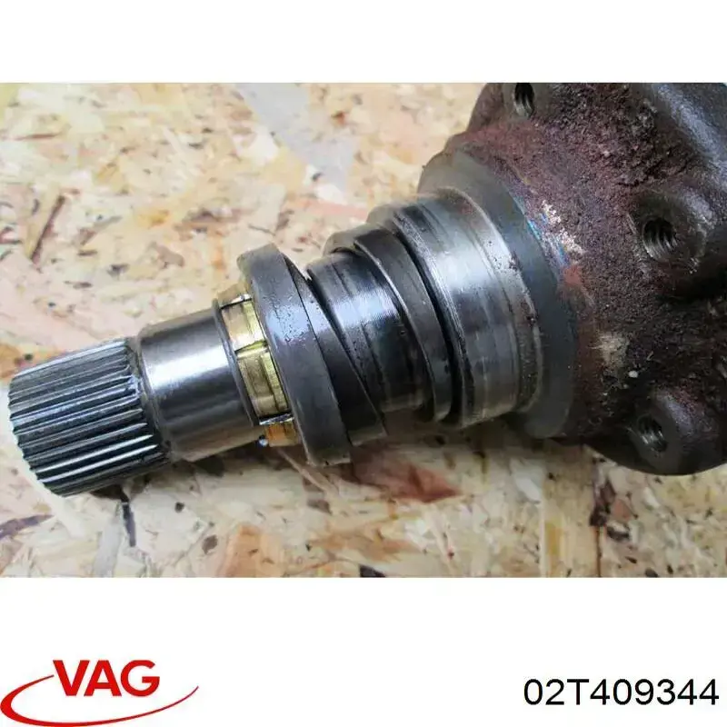 02T409344 VAG